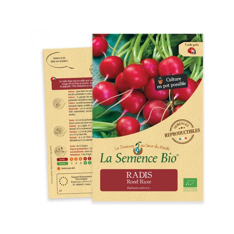 Graines De Radis Rond Mélange Coloré - Rouge, Blanc, Jaune | Germisem | Facile à Cultiver | Jardin Débutant