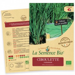 Graines Ciboulette bio La Semence Bio