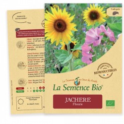 Sachet Jachère Fleurie La Semence Bio Biova