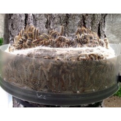 Réhausse écopiège Ø  55 cm