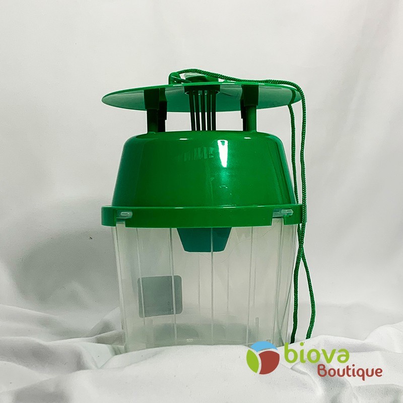 Piège à phéromones "Funnel" pour Pyrale du buis et mineuse du marronnier